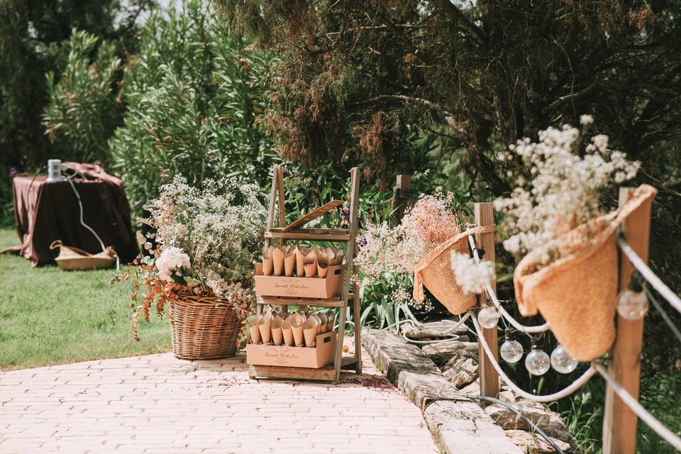 Decoracion