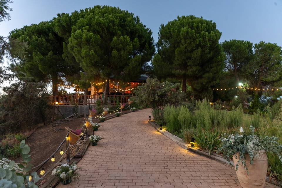 Camino jardín luces noche