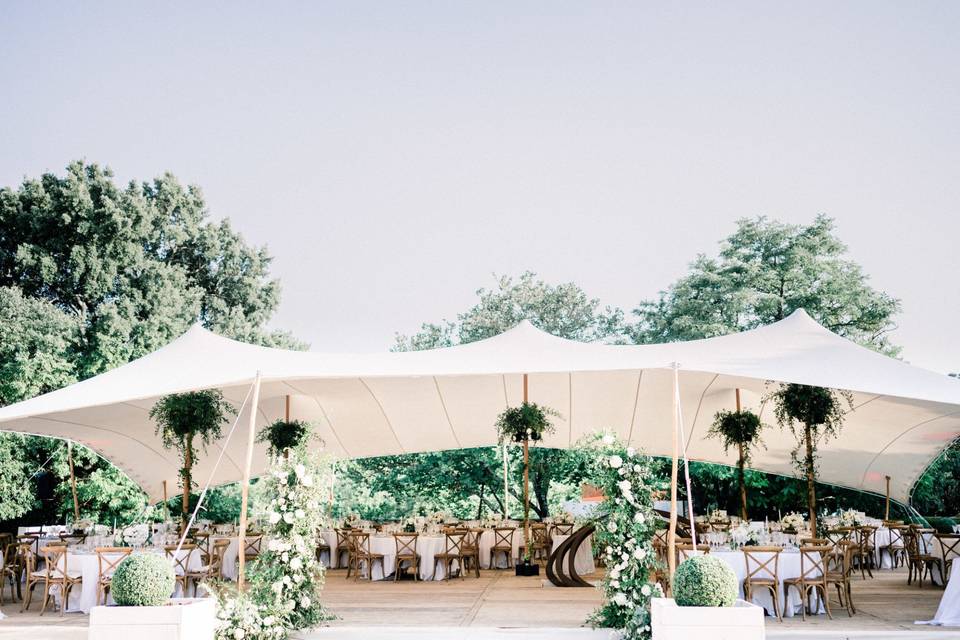 Carpa con decoración vegetal