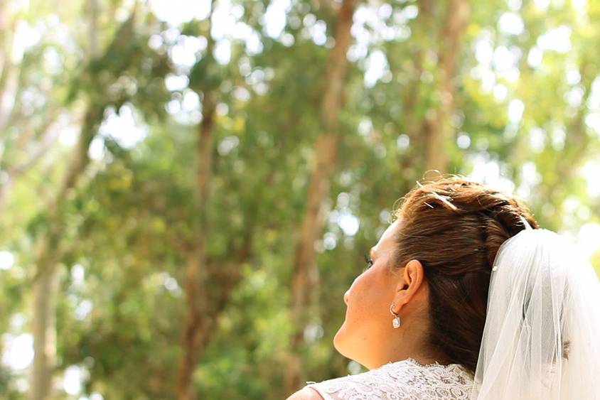 Boda de Elena & Jesús