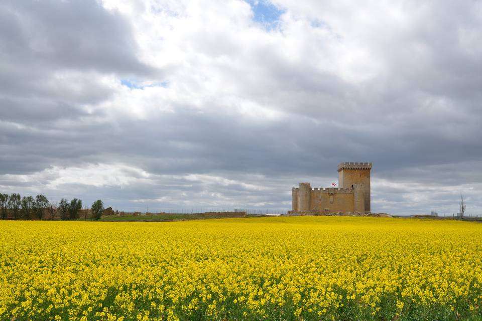 El castillo en primavera