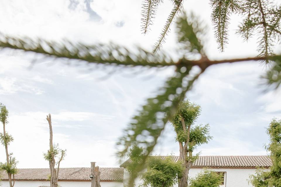 Fotógrafos de boda en Valladol