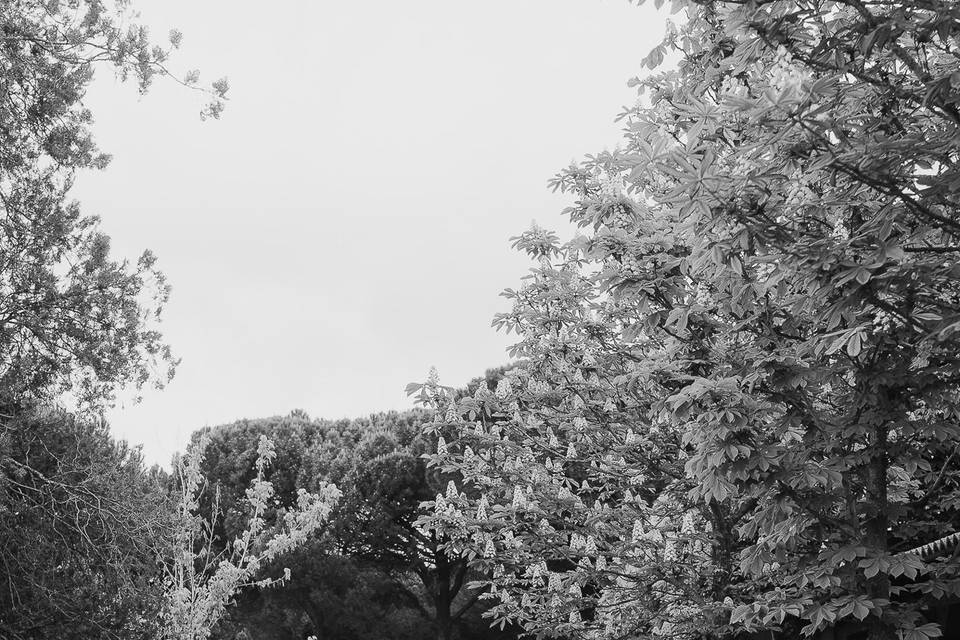 Fotógrafos de boda en Valladol