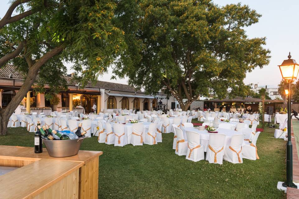 Celebración en el jardín