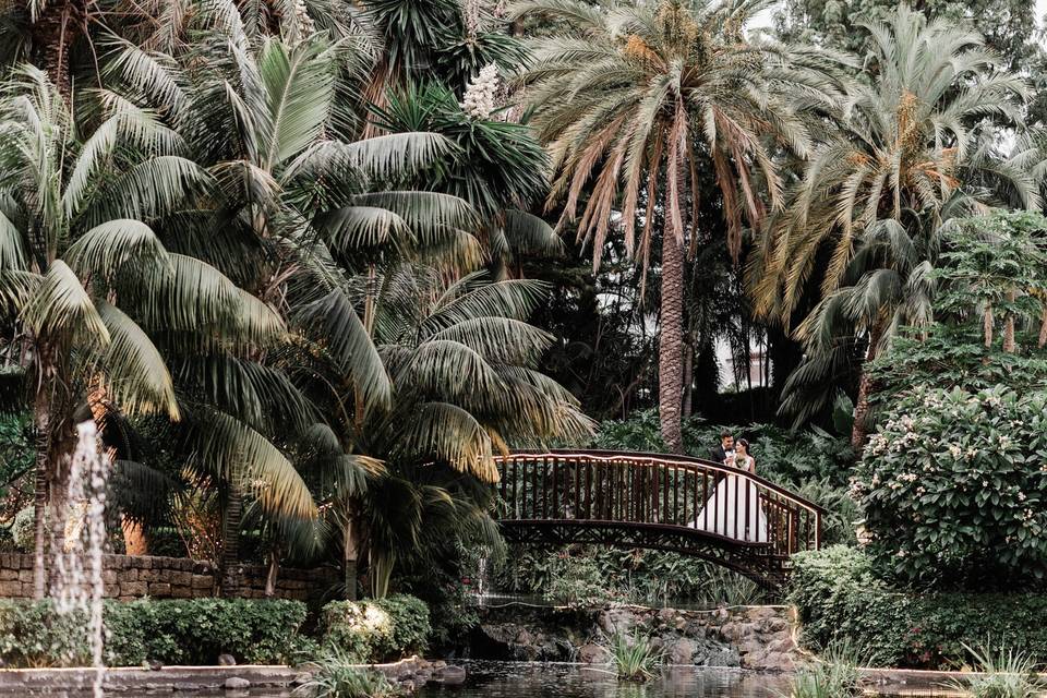 Hotel Botánico