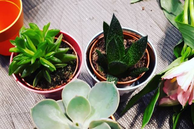 Detalles personalizados