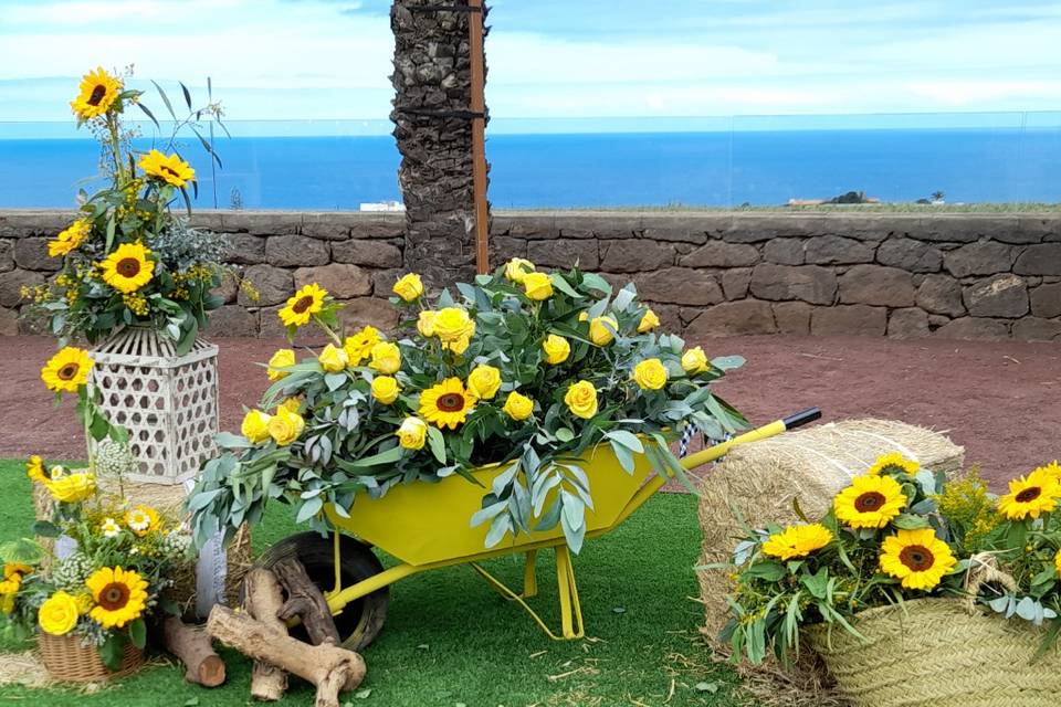 Las 19 mejores floristerías para boda en Las Palmas De Gran Canaria