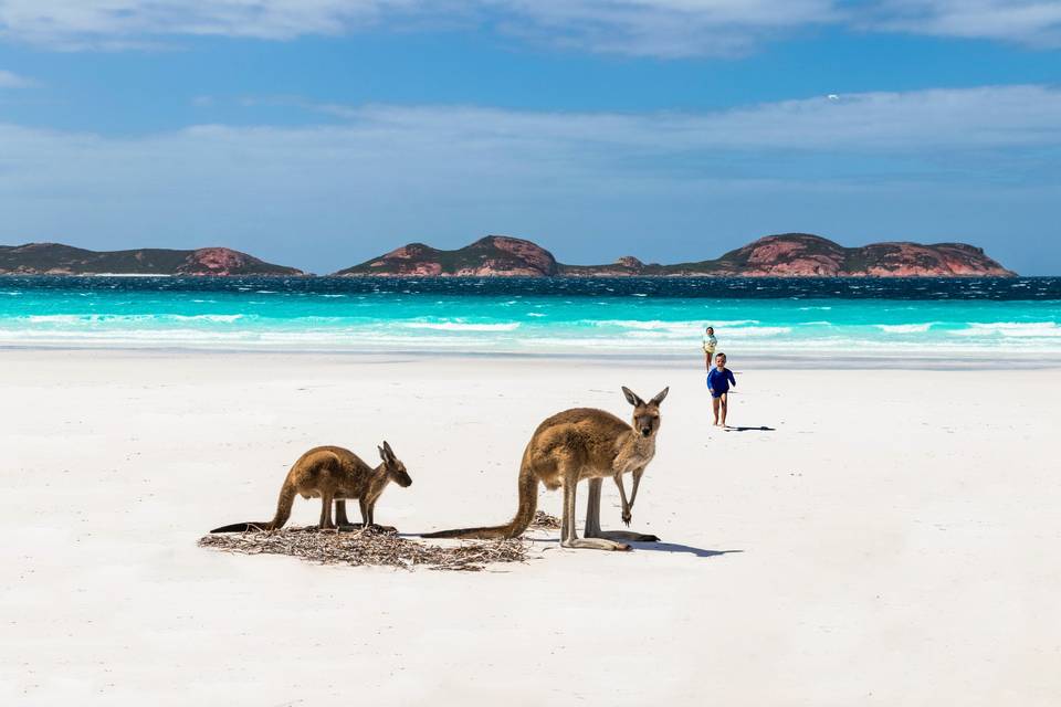 Luna de miel en Australia