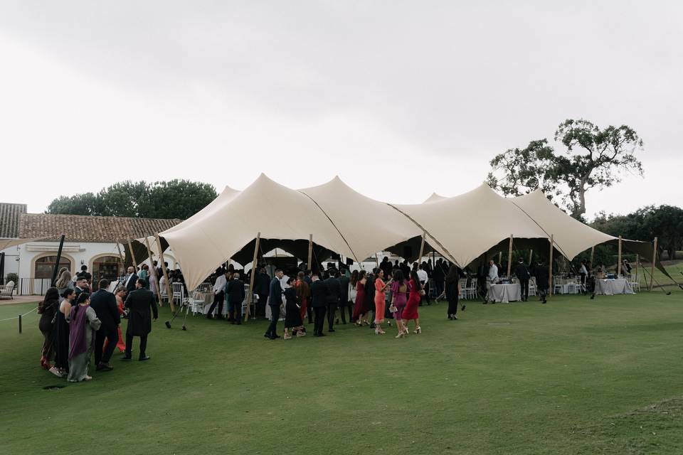 Carpa sobre césped