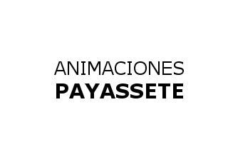 LOGOPAYASSETE