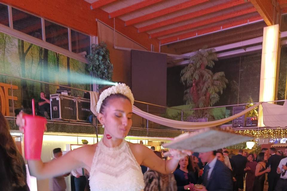 Bodas