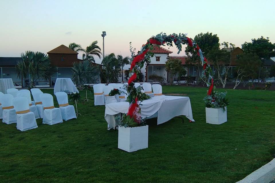 Los Olivos