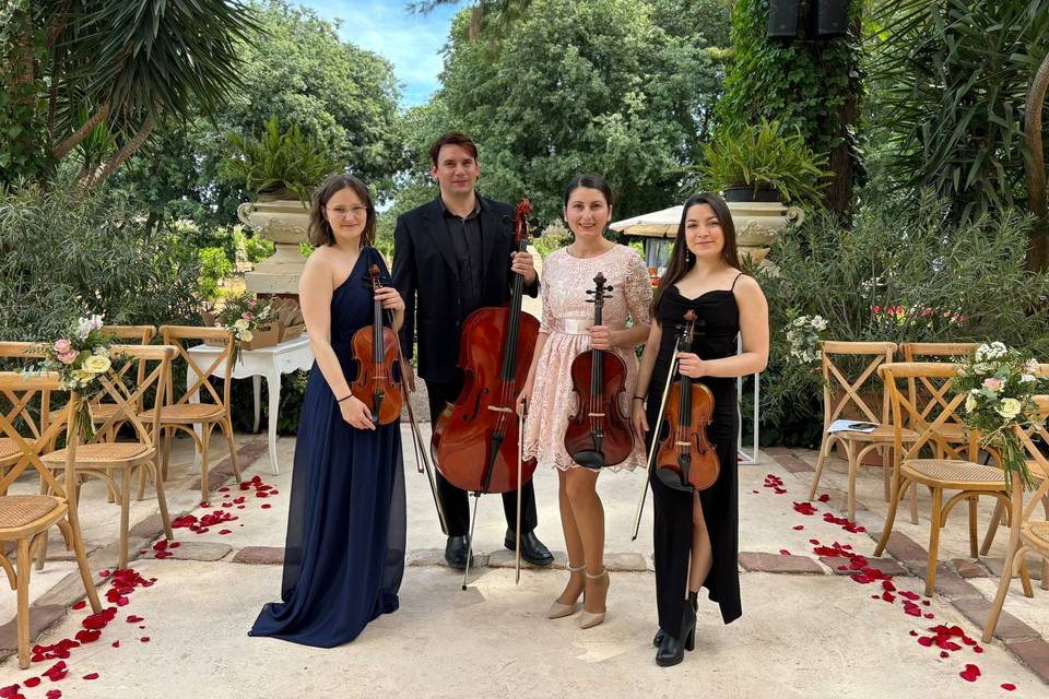 Cuarteto de cuerdas