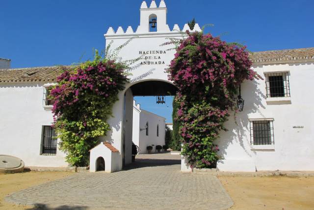 Hacienda de la Andrada