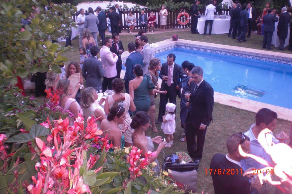 Bodas