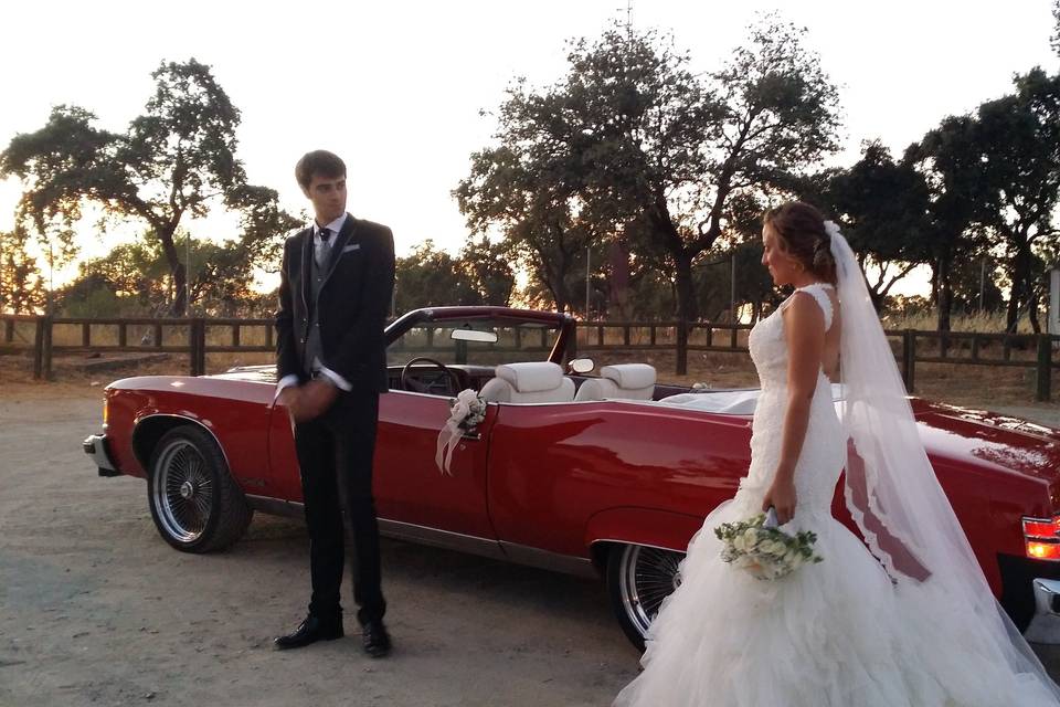 Novios en pontiac