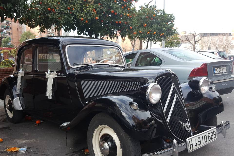 Citroen 11 negro