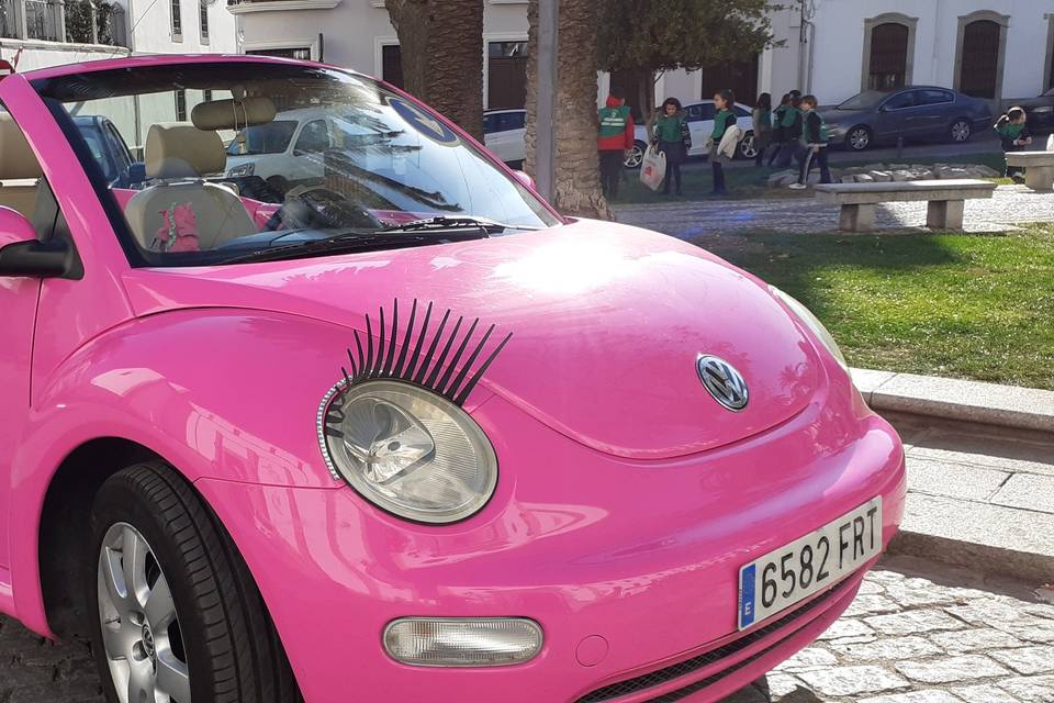 El Coche de mi Boda