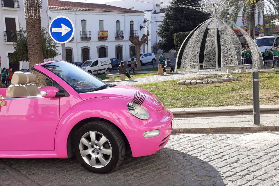 El Coche de mi Boda