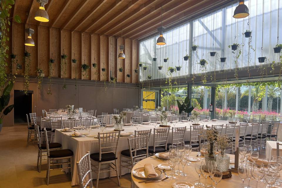 Banquete 3