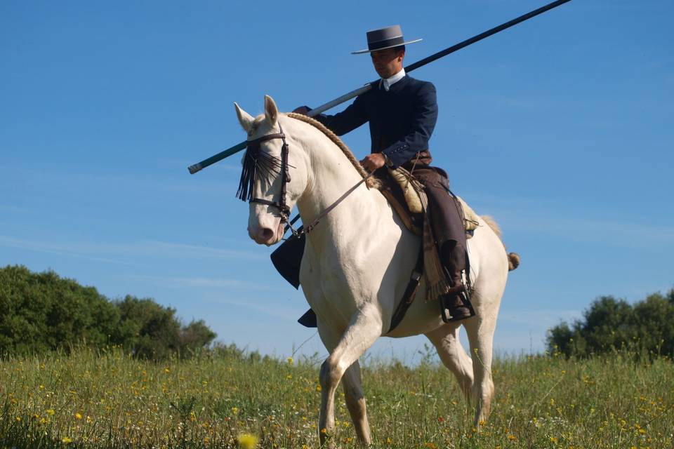 Cuadra Manuel Morillo