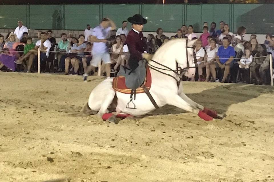 Cuadra Manuel Morillo