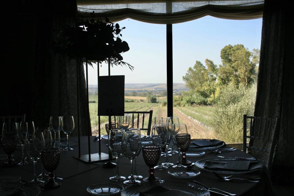 Vistas desde el salón