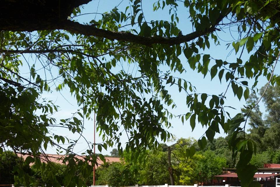 Plaza vistas