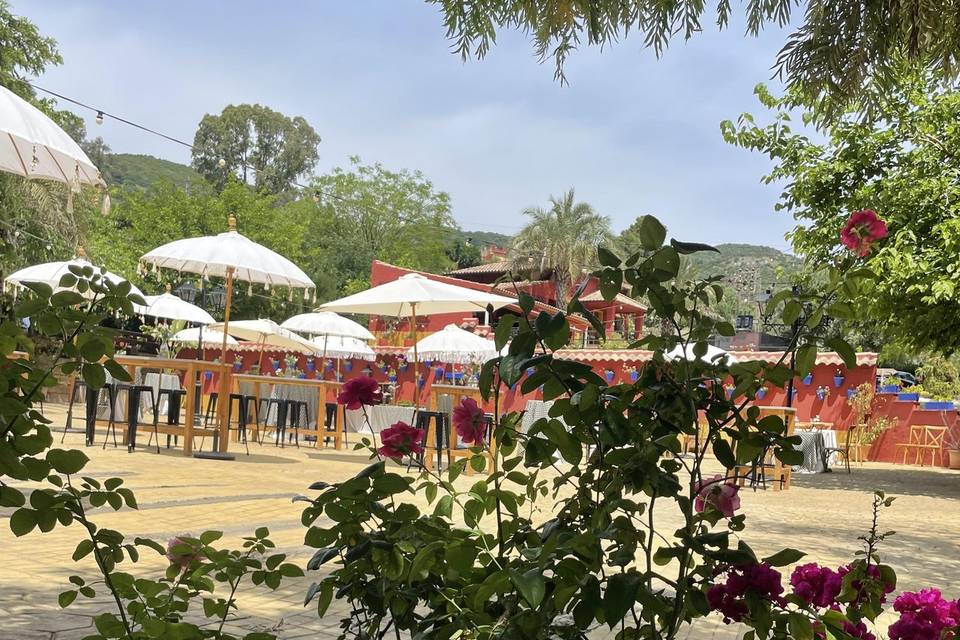 Patio plaza