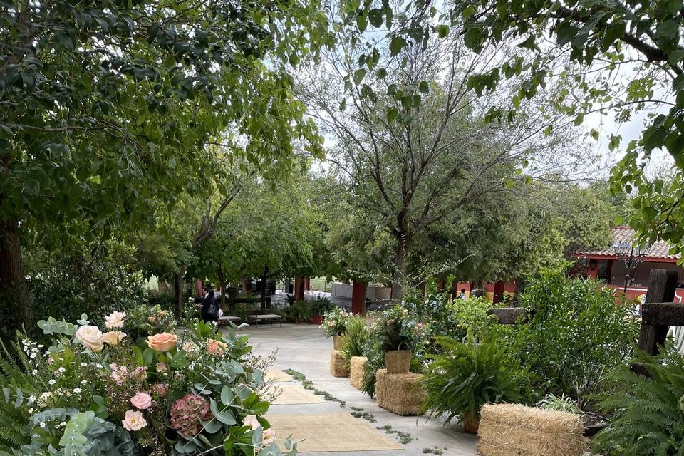 Entrada celebración