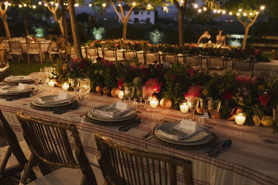 Jardin noche