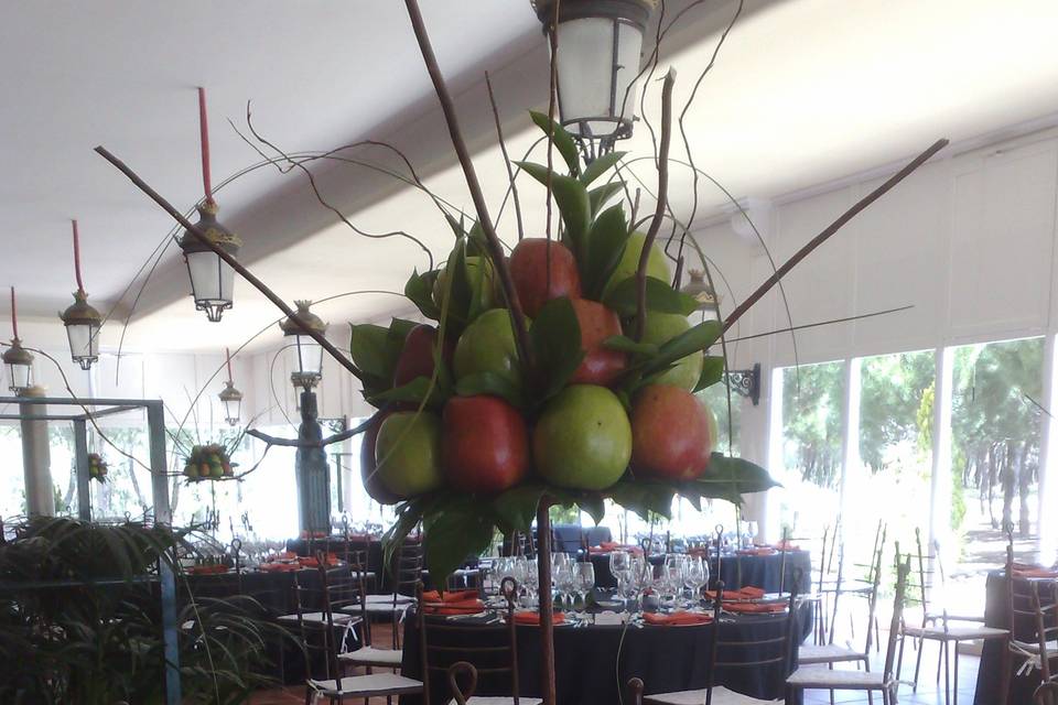 Decoraciones en fincas