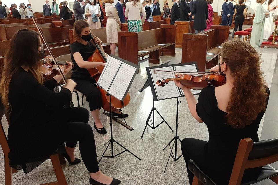 Violín, viola y chelo