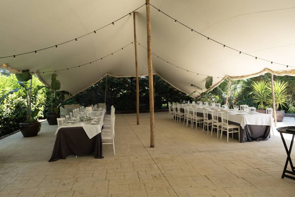 Banquete en el Botanic