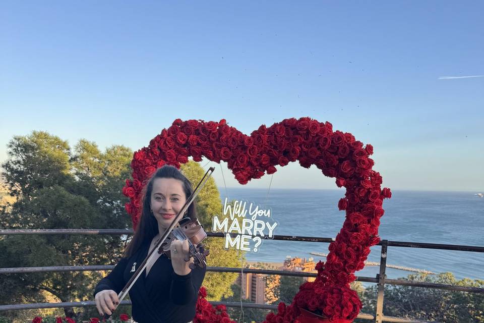 Alice Violín
