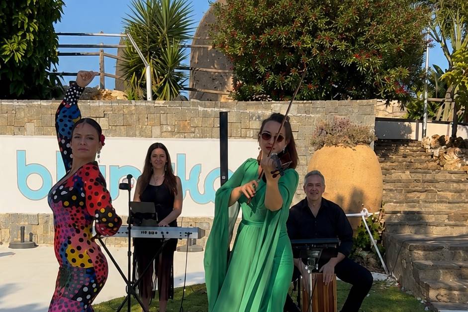 Banda flamenca