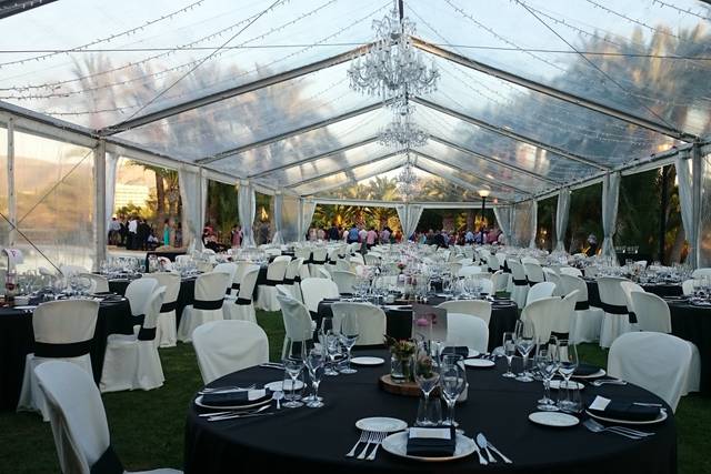 Carpa transparente