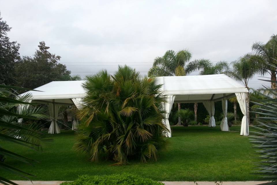 Boda en la playa