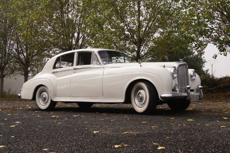 Bentley S1