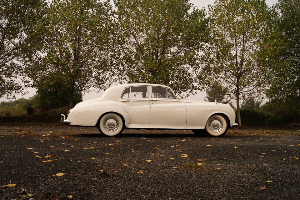 Bentley S1