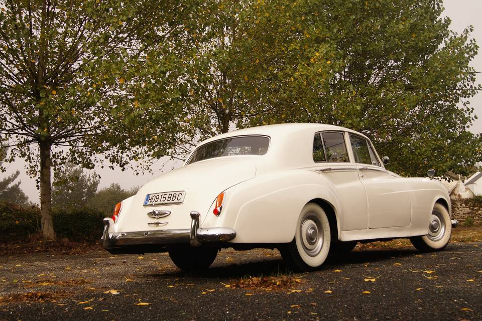 Bentley S1