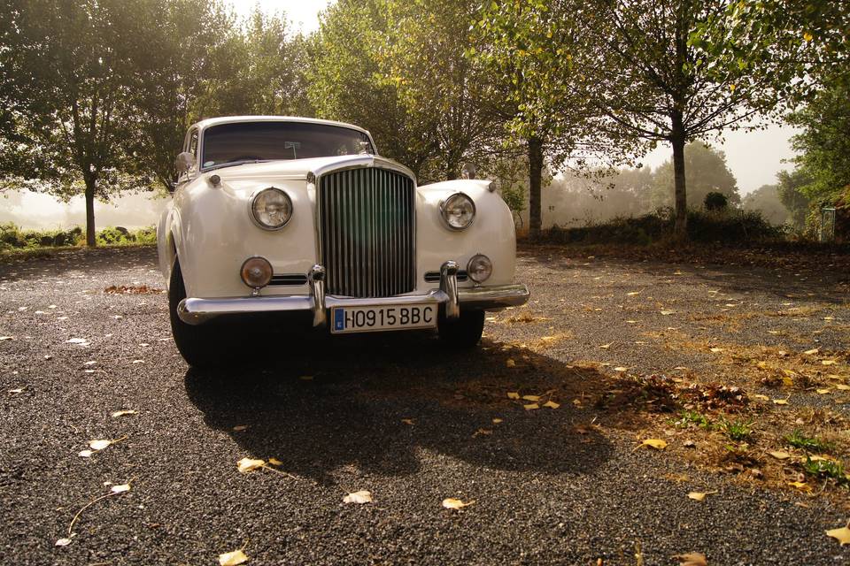 Bentley S1