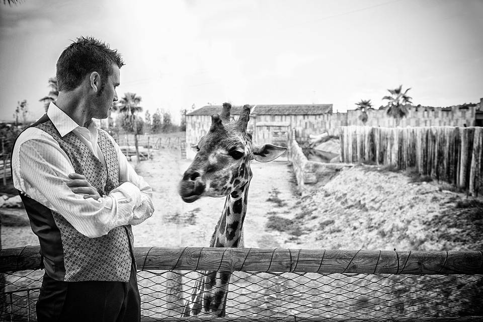 Postboda Terra Natura