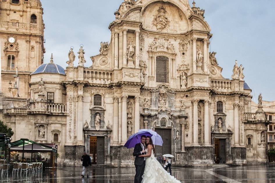 Postboda Terra Natura