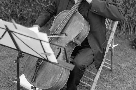 Violonchelo solista