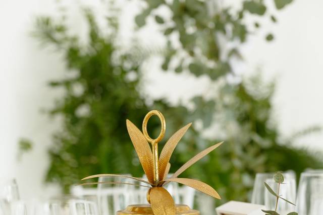 Boda M&D