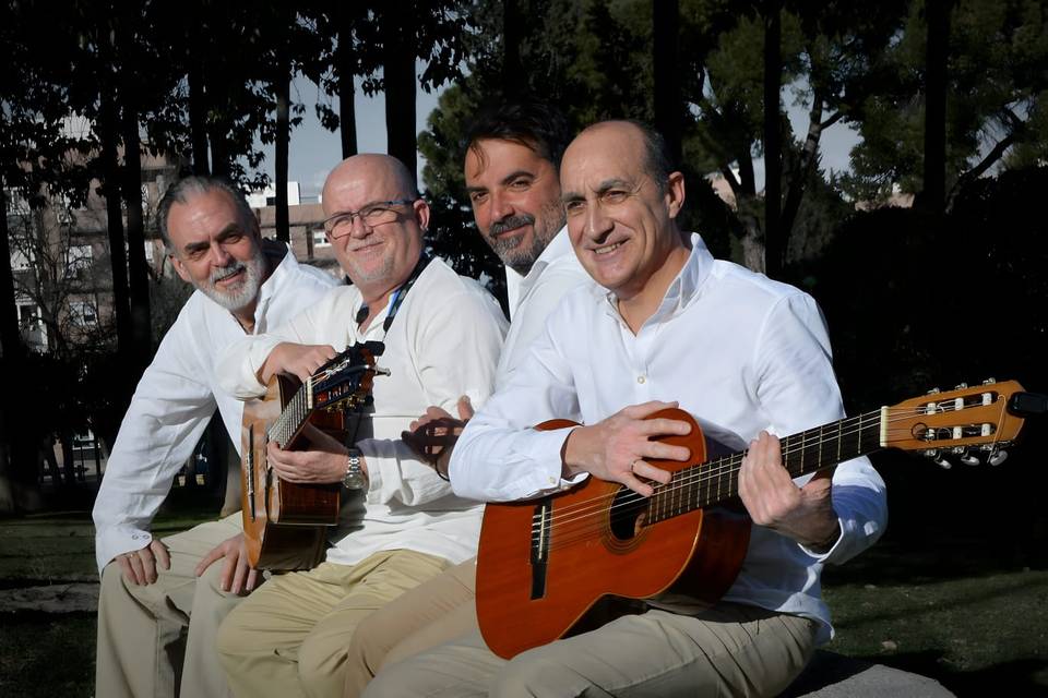 Los Reales del Sur