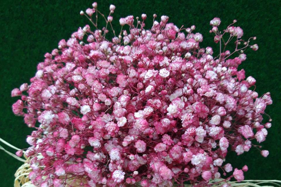 Arreglo floral con paniculata rosa