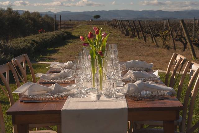 Montaje mirador viñedos