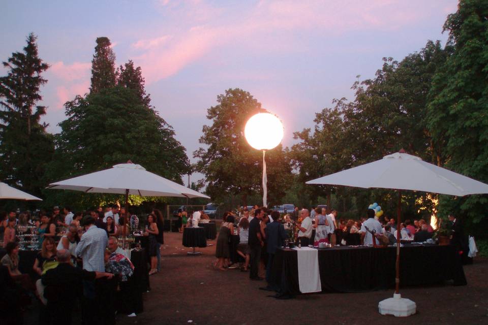 Carpa para boda